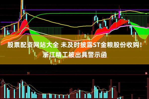 股票配资网站大全 未及时披露ST金粮股份收购！浙江精工被出具警示函