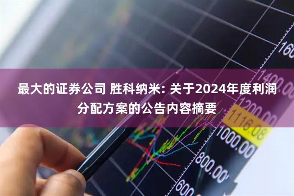 最大的证券公司 胜科纳米: 关于2024年度利润分配方案的公告内容摘要