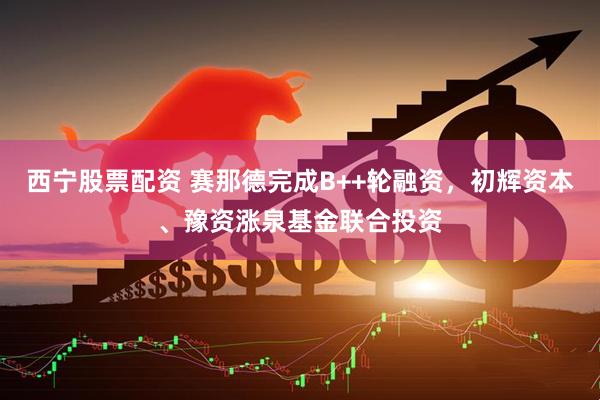 西宁股票配资 赛那德完成B++轮融资，初辉资本、豫资涨泉基金联合投资
