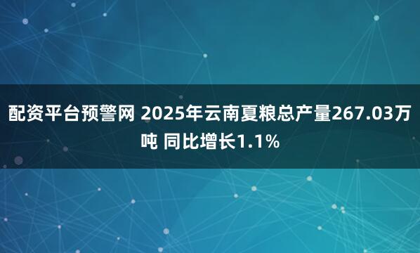 配资平台预警网 2025年云南夏粮总产量267.03万吨 同比增长1.1%